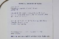 九頭獅子草藏品圖，第2張