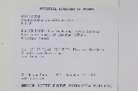 針刺草藏品圖，第2張