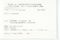 小葉樹杞藏品圖，第2張