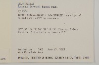 厚葉衛矛藏品圖，第2張