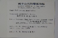 阿里山忍冬、漸尖葉忍冬藏品圖，第2張