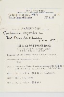 水花菜藏品圖，第2張