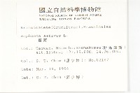 蘿蔔、夢卜藏品圖，第2張