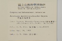 阿里山鬼督郵藏品圖，第2張