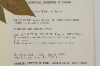 大丁黃藏品圖，第2張