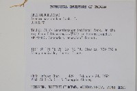 大花細辛、馬蹄香藏品圖，第2張