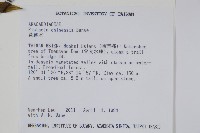 黃連木、爛心木藏品圖，第2張