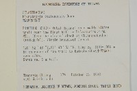 福建賽衛矛、福建假衛矛藏品圖，第2張