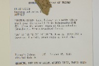 刺果衛矛藏品圖，第2張