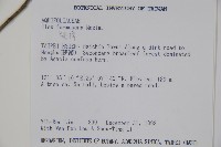 糊樗藏品圖，第2張