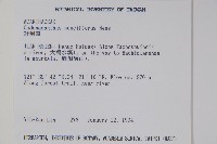 針刺草藏品圖，第2張