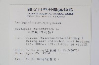 尖尾鳳、馬利筋藏品圖，第2張