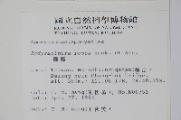 酸藤藏品圖，第2張