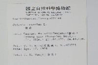 青葙藏品圖，第2張