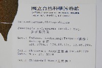 多子漿果莧藏品圖，第2張