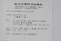 木蠟樹、山漆藏品圖，第2張