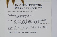 黃連木、爛心木藏品圖，第2張