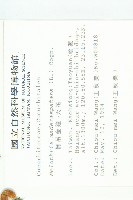 倒吊金鐘、天花藏品圖，第2張