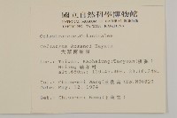 大葉南蛇藤藏品圖，第2張