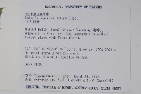 十大功勞藏品圖，第2張