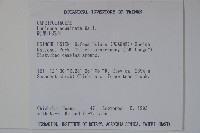 阿里山忍冬、漸尖葉忍冬藏品圖，第2張