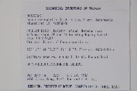 臺灣黃楊藏品圖，第2張