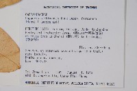 山柑、臺灣山柑藏品圖，第2張