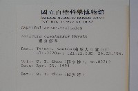 追分忍冬藏品圖，第2張