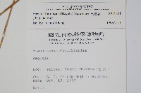 水鴨腳藏品圖，第2張