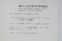 羊角藤、武靴藤藏品圖，第2張