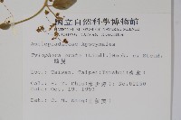 鷗蔓藏品圖，第2張