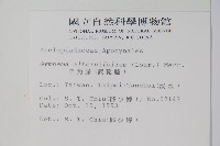 羊角藤、武靴藤藏品圖，第2張