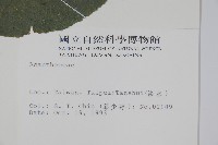 登錄號:S014166藏品圖，第2張