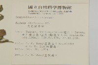 雙面刺藏品圖，第2張