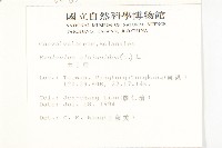 土丁桂藏品圖，第5張