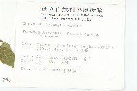 九爪藤藏品圖，第2張