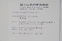 一枝香藏品圖，第2張