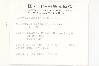 土丁桂藏品圖，第2張