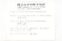 天蓬草舅藏品圖，第2張