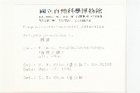 鱧腸藏品圖，第2張