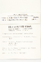 香茹藏品圖，第2張