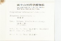 野塘蒿藏品圖，第2張