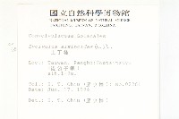 土丁桂藏品圖，第2張