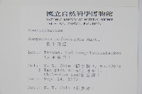 假千日紅藏品圖，第2張