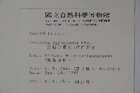 裡白忍冬、紅腺忍冬藏品圖，第2張