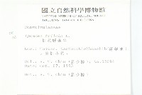 紅花野牽牛藏品圖，第2張