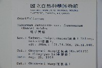 紅子莢迷藏品圖，第2張