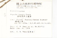 亨利氏伊立基藤藏品圖，第2張