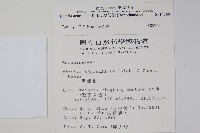 厚殼樹藏品圖，第2張