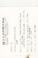 山柿樹藏品圖，第2張